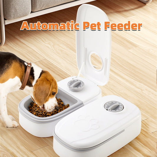 PawFlow Automatic Gravity Pet Feeder & Water Dispenser