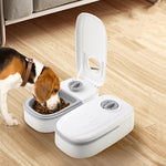PawFlow Automatic Gravity Pet Feeder & Water Dispenser